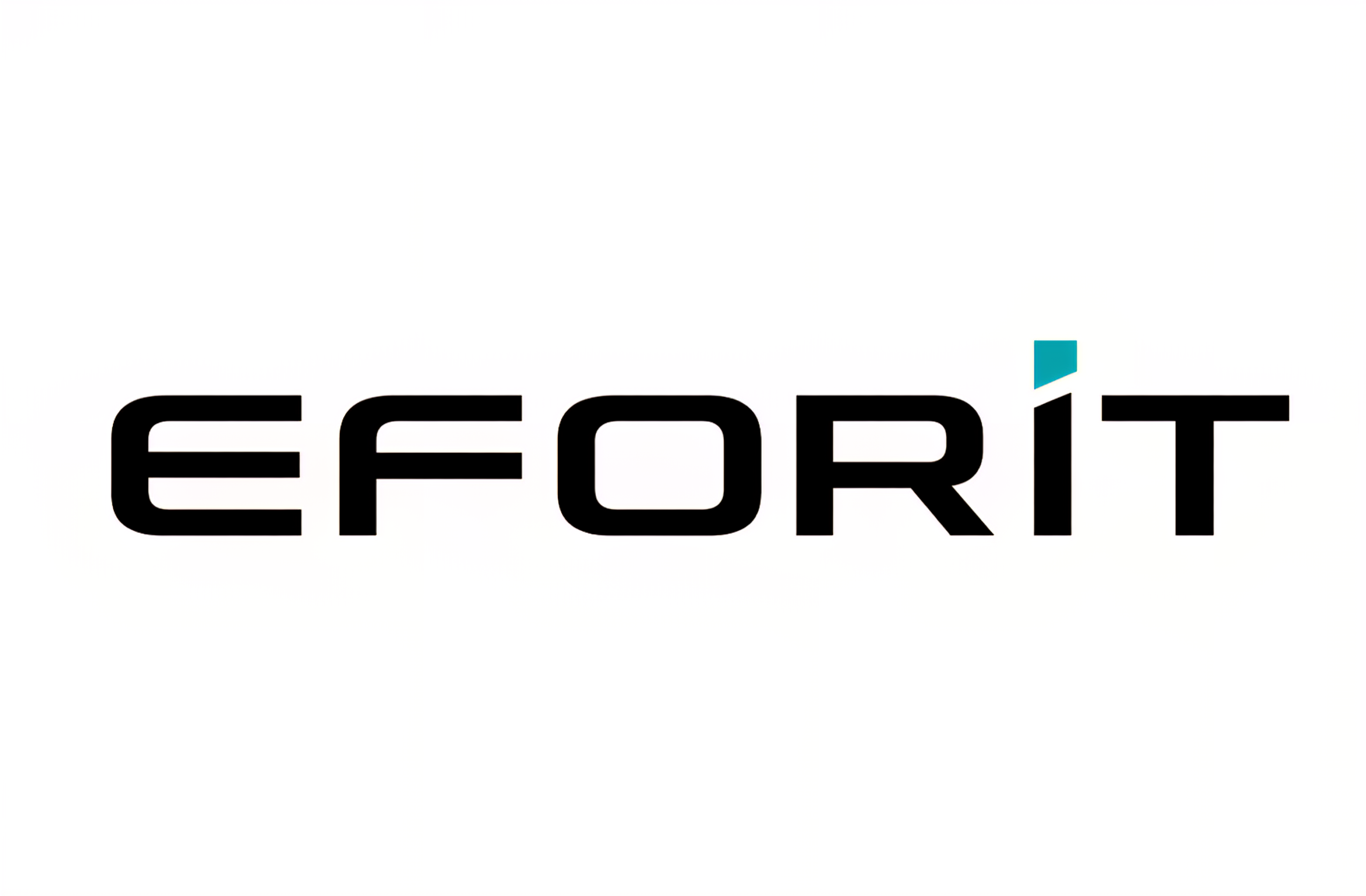 EFORIT Logo
